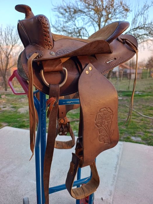 Calarie Sa din piele . Shea calarie