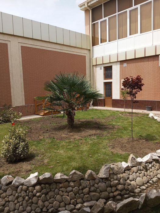 Gazon ekish landshaft dizayni