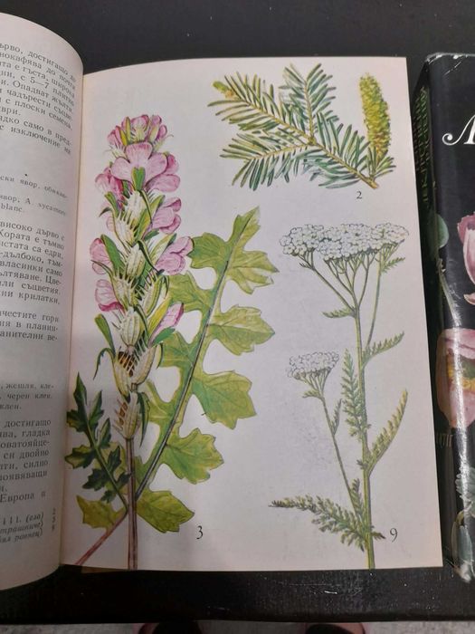 Книги Нашите лекарствени растения д-р Нено Стоянов част 1 и 2