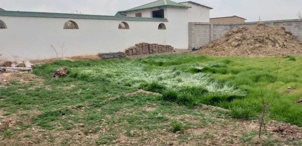 Uy qurilish uchun uchastka. Xujjatlar bilan