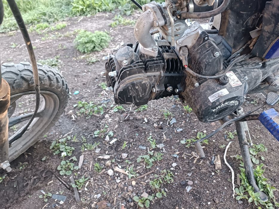 Алфа 125  стоит на учёте