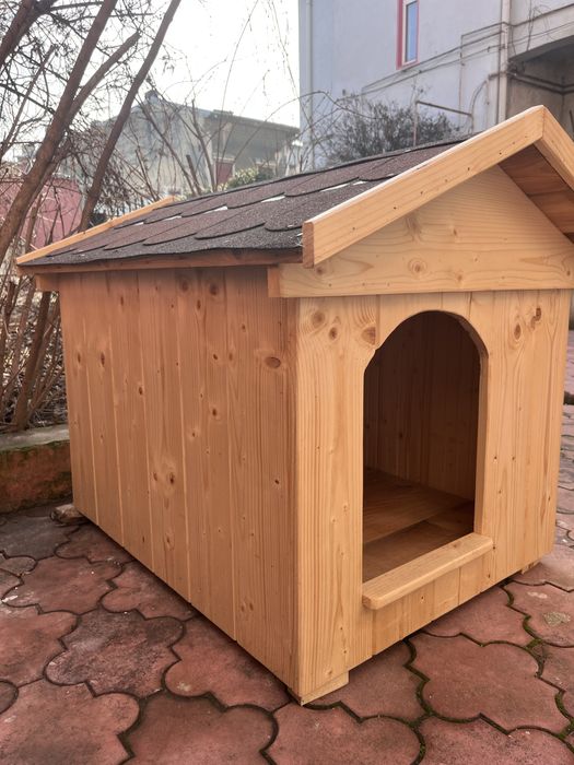 Vand cusca caine talie medie-mare