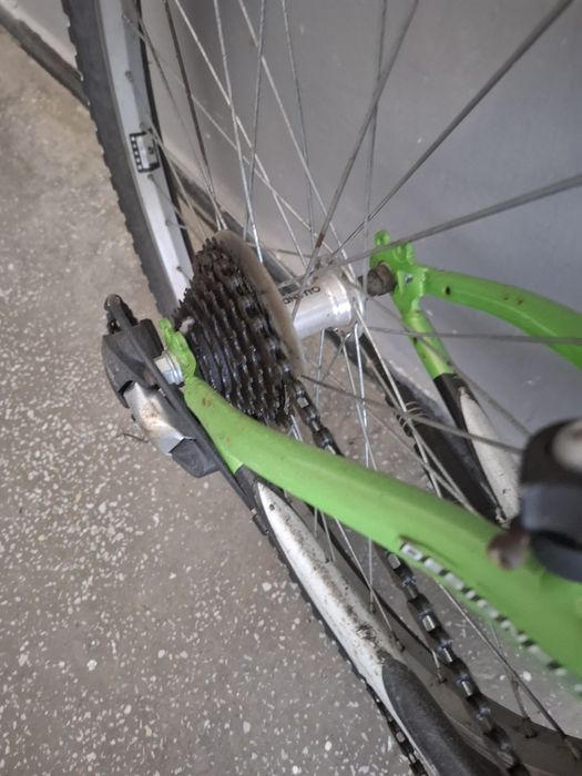 Ofertă de nerefuzat!