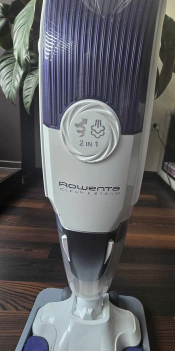 Rowenta clean and steam