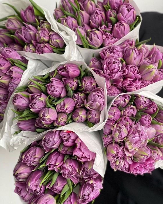 Шикарные тюльпаны оптом !