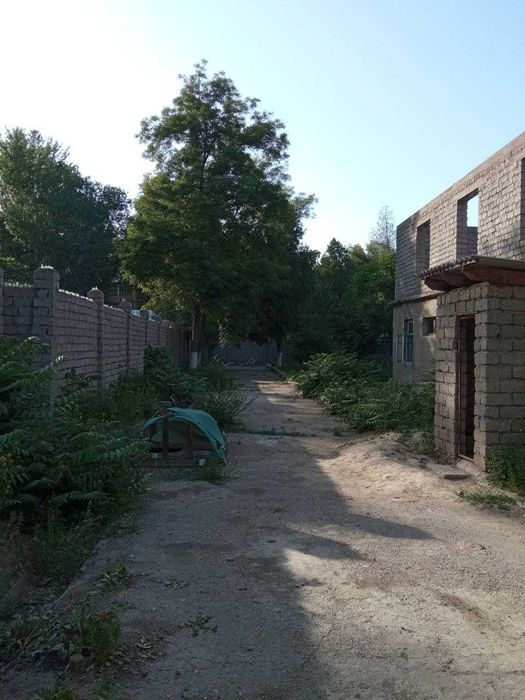 11.2 sotix (Nejiloy) sotiladi srochno Nurafshon(Toytepa)