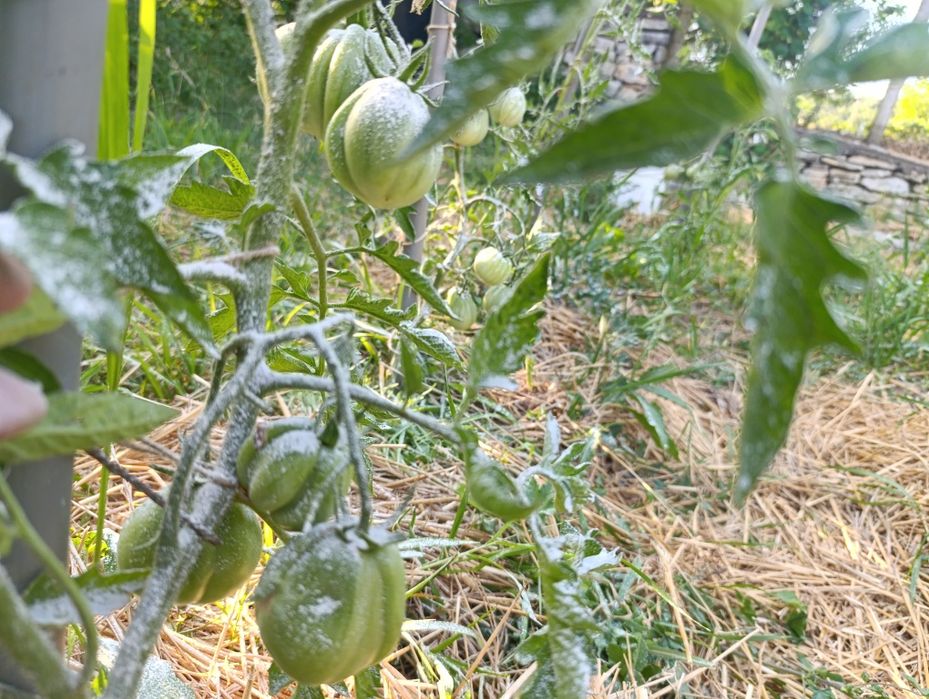 Каменно брашно за градината