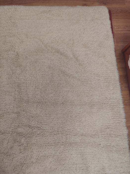 Запазен вълнен китеник