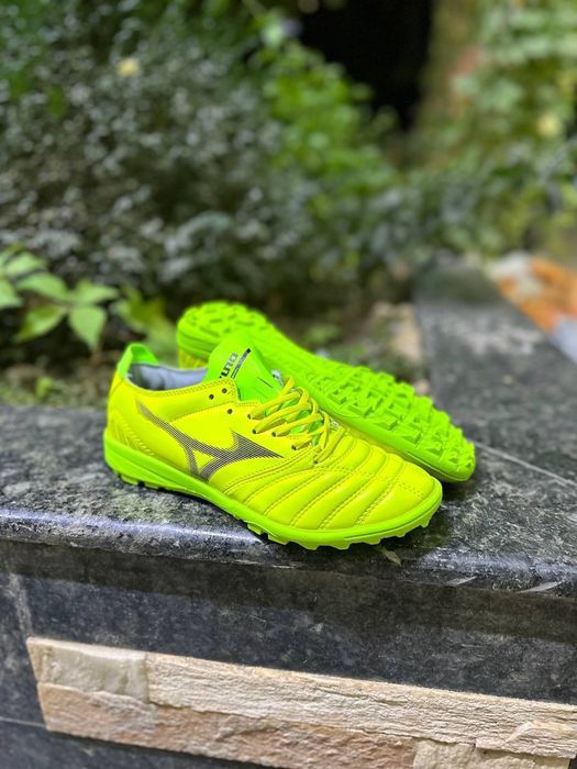 Сараканошка Размеры