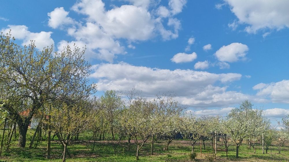 Casă la țară cu teren generos de 2880 mp – liniște, natură și potențial enorm!