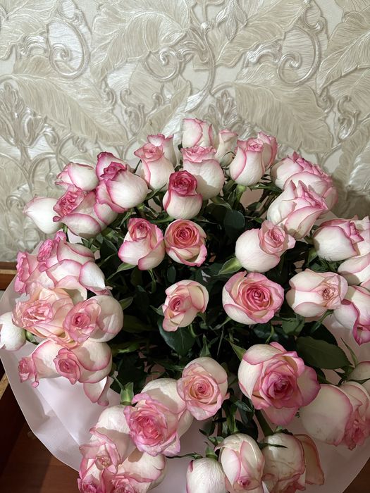 Галански роза 51 штук