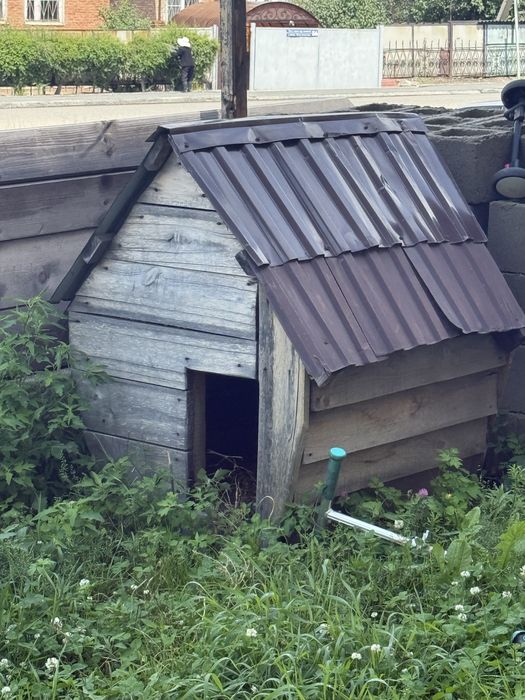 Сабачи дом сабачая будка