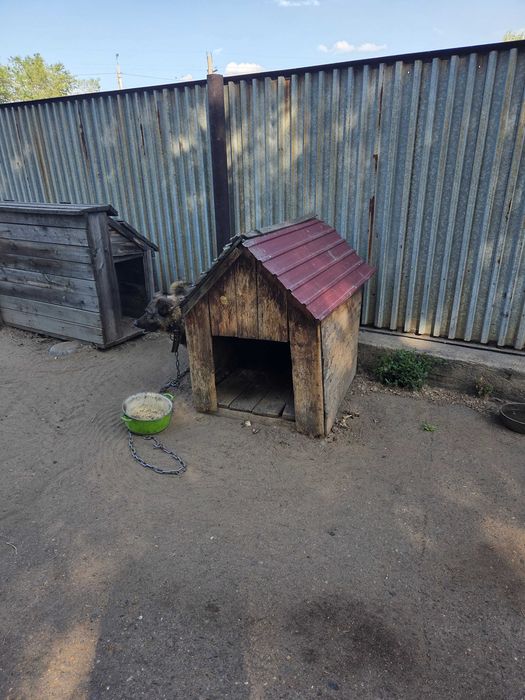 Будка для собаки