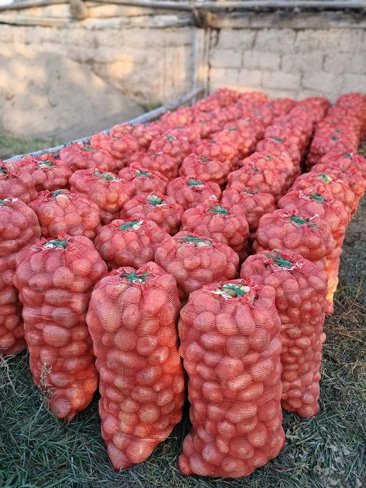 Картошк Нарынкол