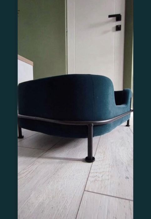 Pat caini sau pisici