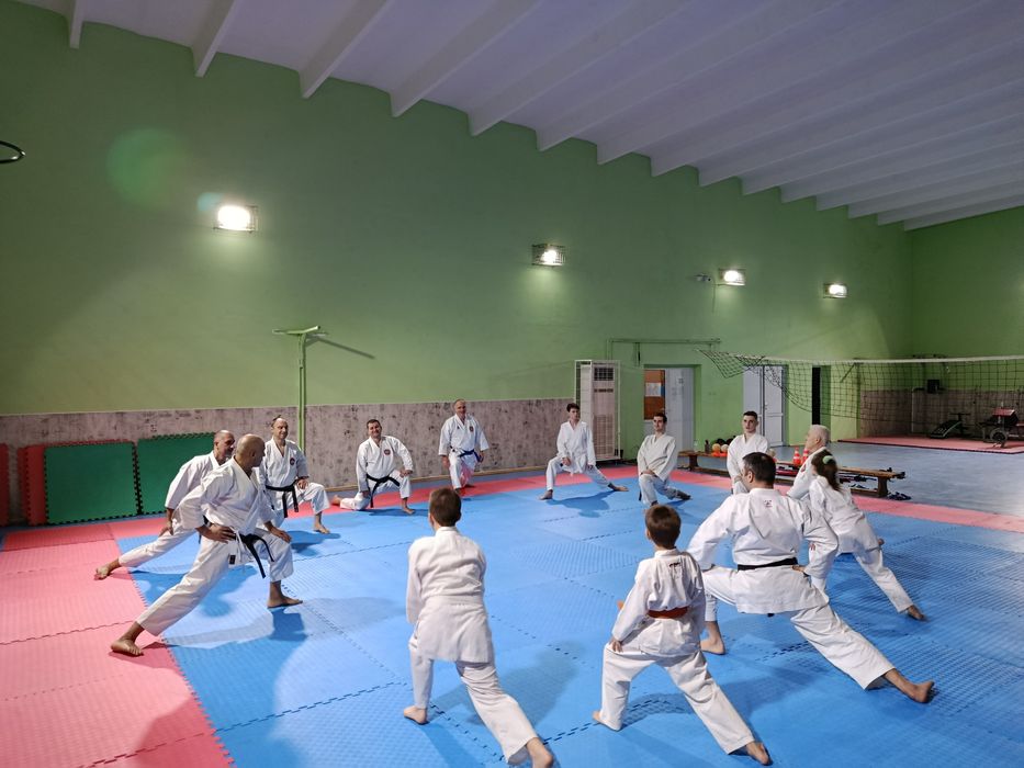 Тренировки Шотокан карате-до