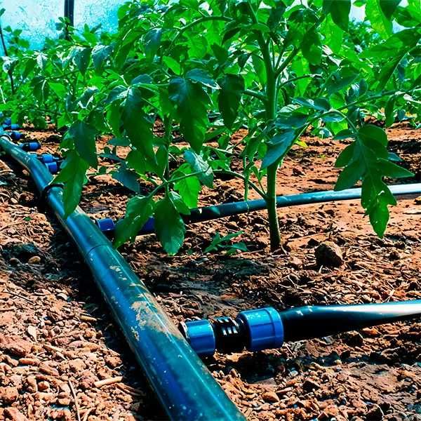 Vand sisteme de irigatii: picurare ,tamburi,pivoti ,motopompe,etc...