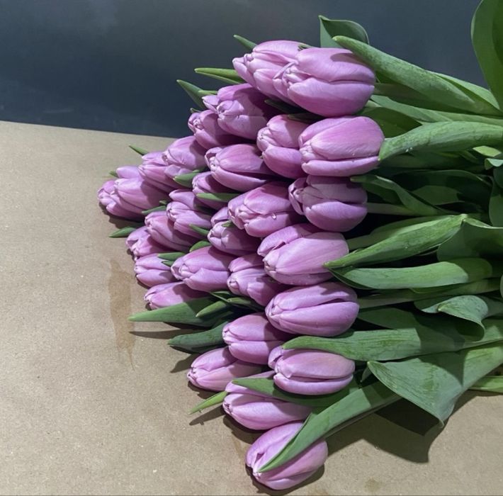 Предзаказ на тюльпаны