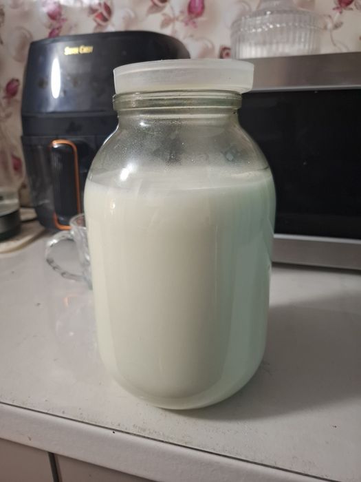 Продам козье молоко