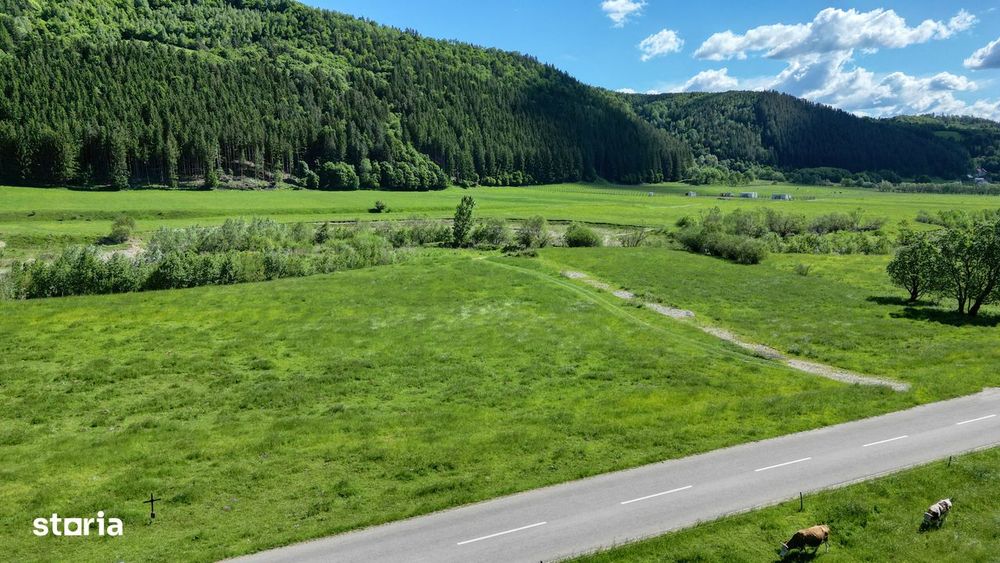 Teren intravilan 1269 mp cu priveliste la 12 km de zona Bran-Moeciu.