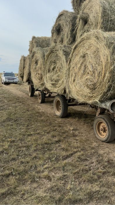 Продам сено в рулонах