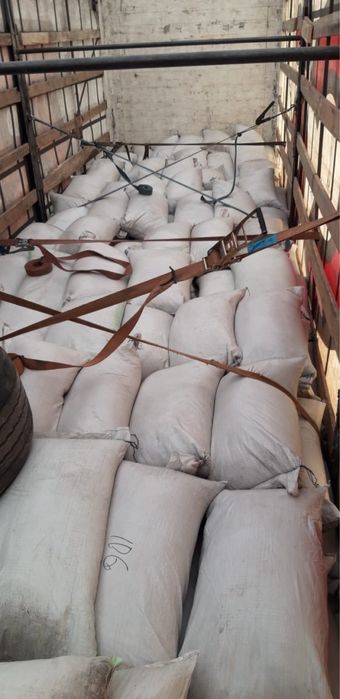 Семена люцерны Жонышка урыгы