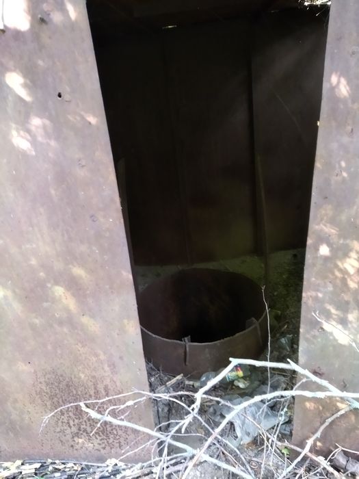 Несчастные щенки