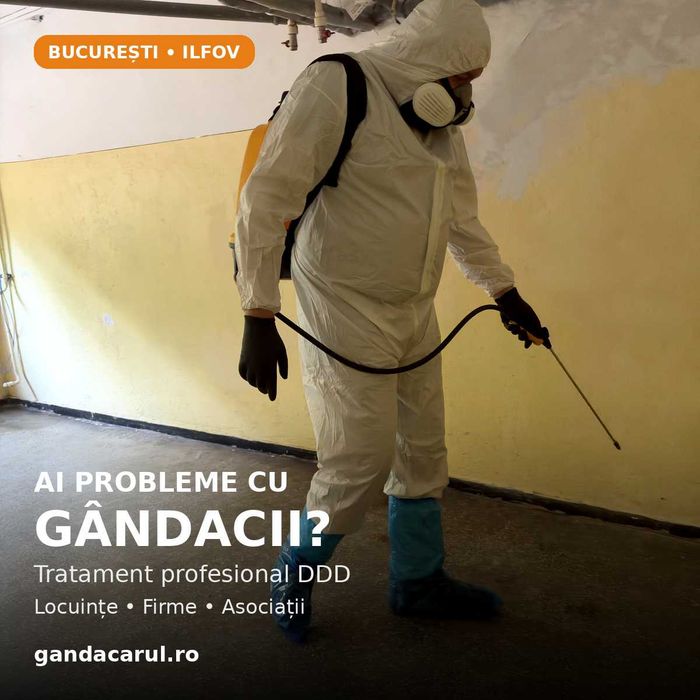Dezinsecție gândaci București–Ilfov | Intervenție în max. 3 ore, NON-STOP
