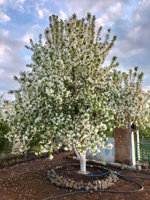 Продам дачу на Беловке