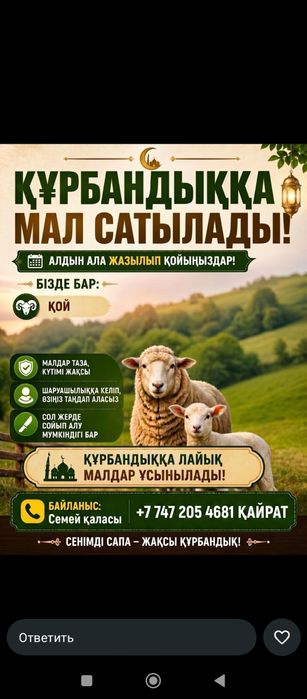 Кой сатылады 80000