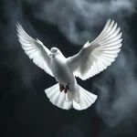 Ритуальные услуги/ копка могил любой сложности.