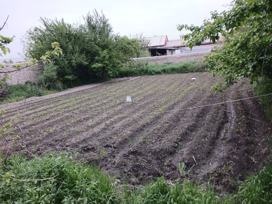 Uy joy hovli uchastka sotiladi