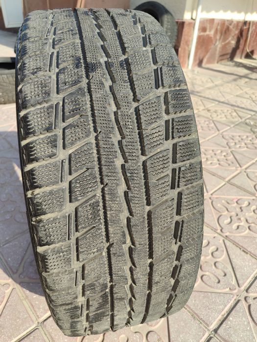 Авошина зимный отл.сост.