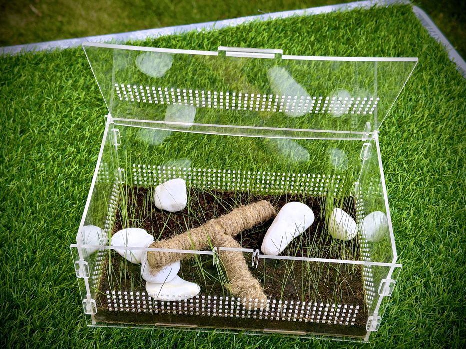 ТЕРРАРИУМ -  сухой аквариум