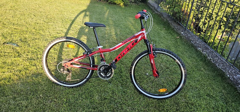 Drag Hardy JR 24