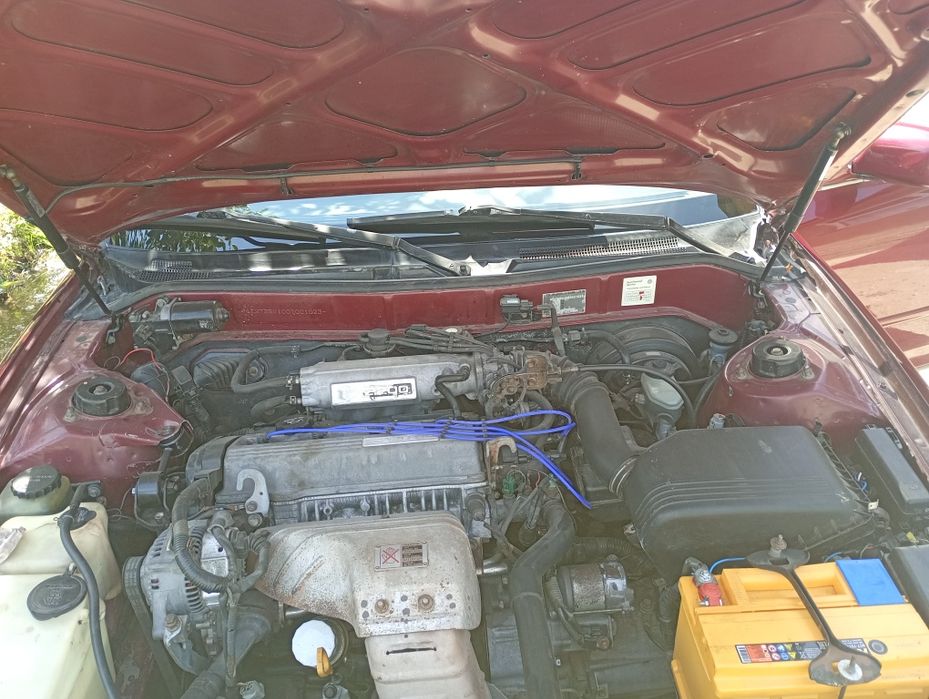 Kamri 10 европеец