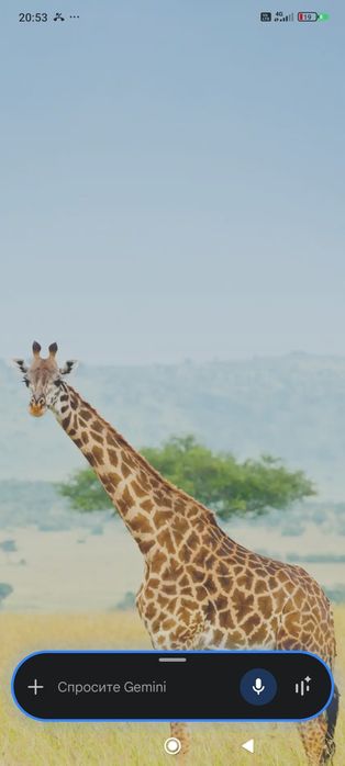 Uy sotiladi 103 kv metr srochniy