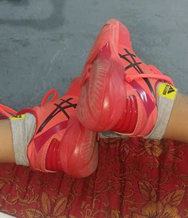 Красовка асейкис