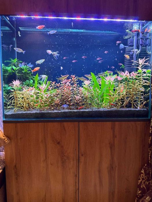 Продаю свой аквариум на 250 литров полностью в комплекте травник