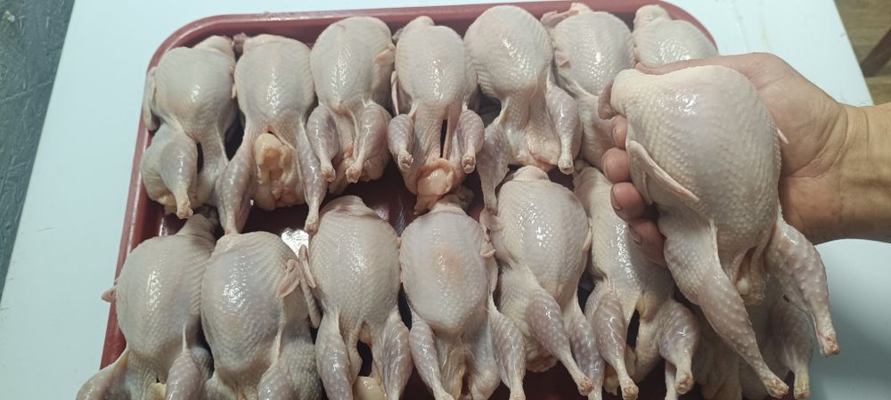 Продам мясо перепёлки