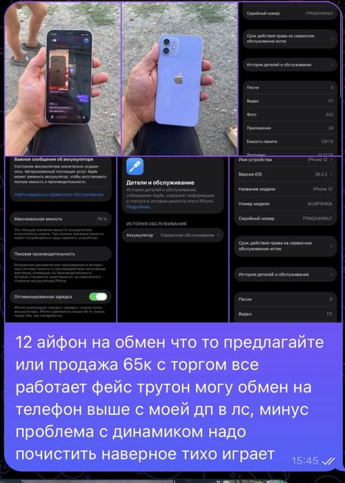 iPhone 12 Обычный