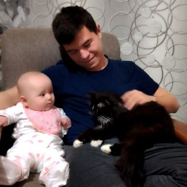 Отдается даром кошка