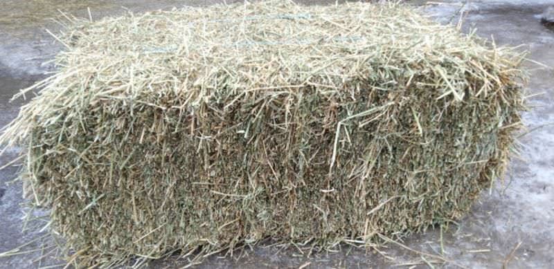 Baloți fân din semănătură