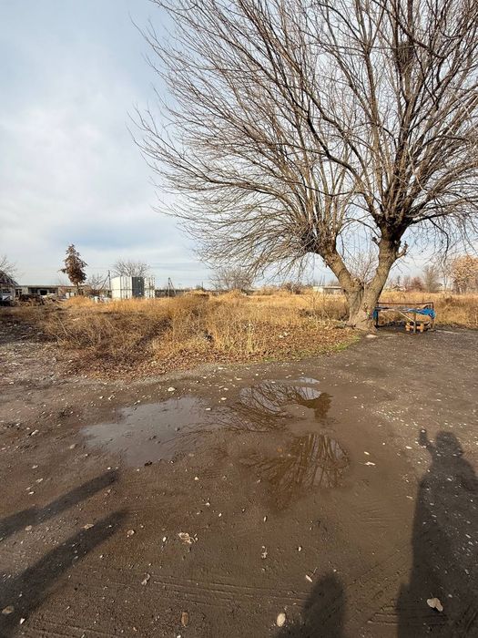 Продается земельный участок под каттеджный городок или производство