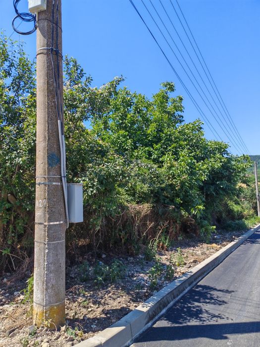 Дворно място с. Славейково