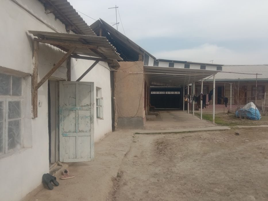 16 сотихли ховли жой