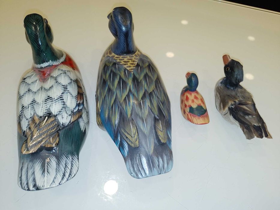 Rate/Pasari Decor Gradina