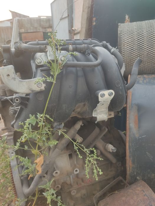 Двигатель Nissan xtrail t31