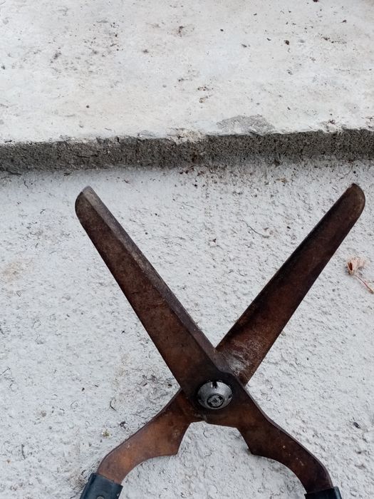 Градинска ножица за храсти и дървета.