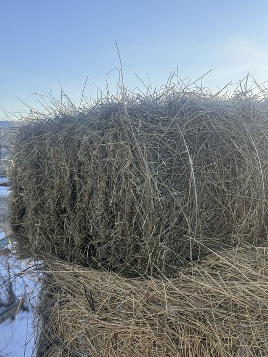 Сено в рулонах, в тюках
